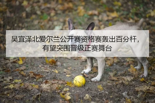 吴宜泽北爱尔兰公开赛资格赛轰出百分杆，有望突围晋级正赛舞台